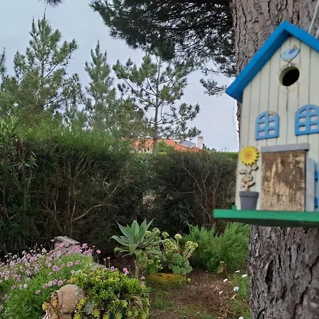 Surf & House * Aljezur