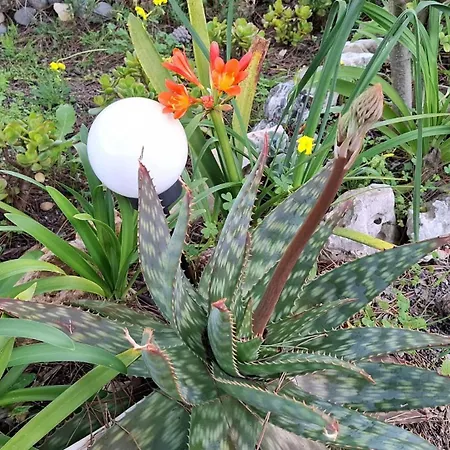 Maison d'hôtes Surf & House