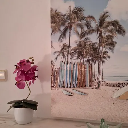 Coast - Luar